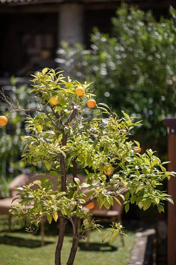 Vakantieboerderij Agriturismo Borgo Di Calmasino Bardolino